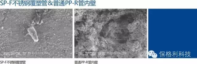 1493351367505408.jpg 640.webp (10).jpg