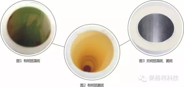 1499647607809255.jpg 640.webp (7).jpg